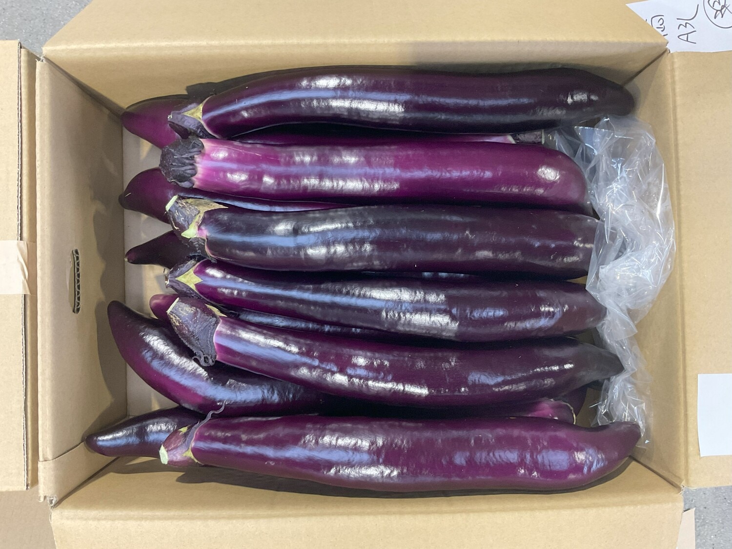 長茄子 1本｜いちばdeマルシェe-ショッピング