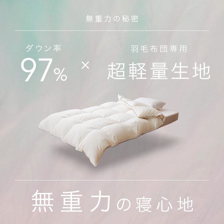 新品未使用】danfill 羽毛布団 190×210 【公式通販】