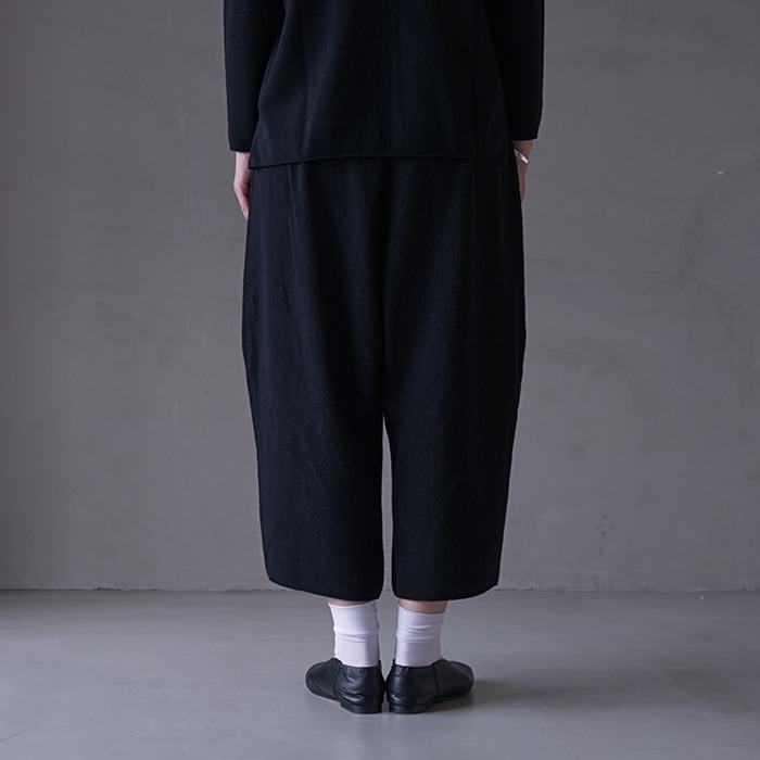 e233k076) / evam eva (エヴァムエヴァ) / wool pants (ウールパンツ
