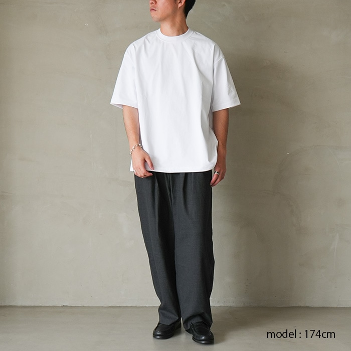 ○(be-41025) / DAIWA PIER39(ダイワピアサーティナイン) /TECH