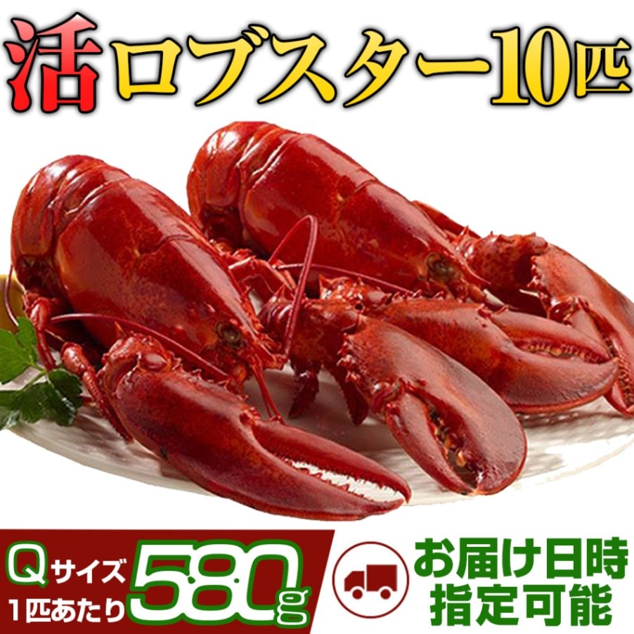 ロブスター（オマール海老）の通販ならホットロブスター