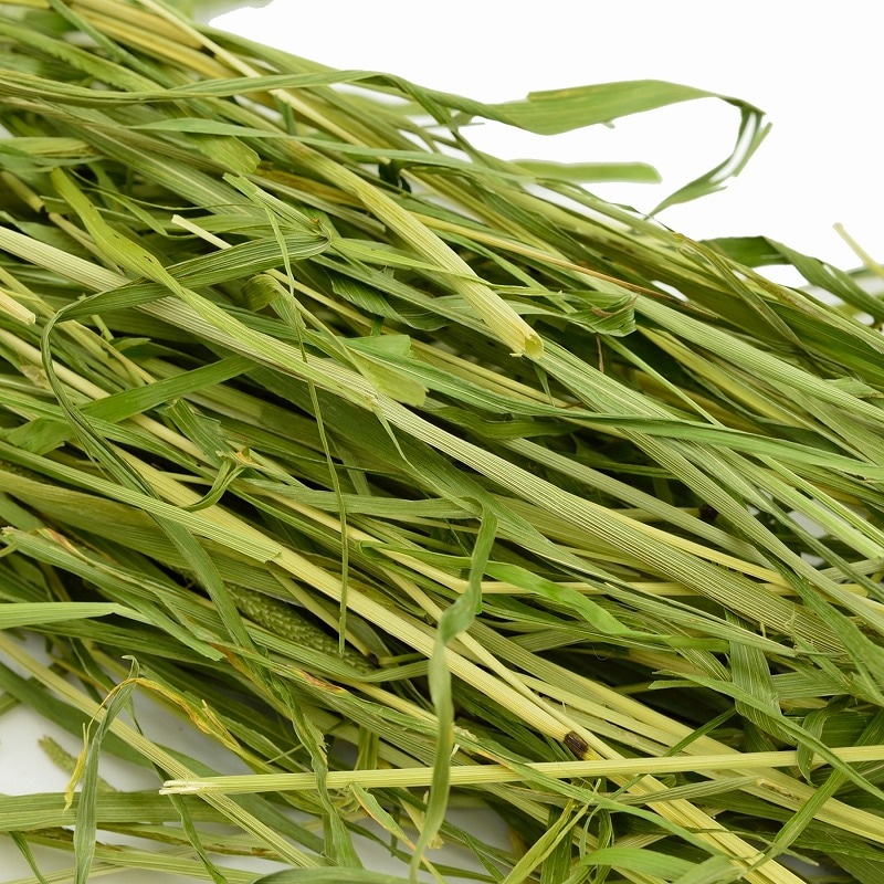 2025高原の朝採り牧草「ティモシー」ヤング 450g ※2025年3月12日発売