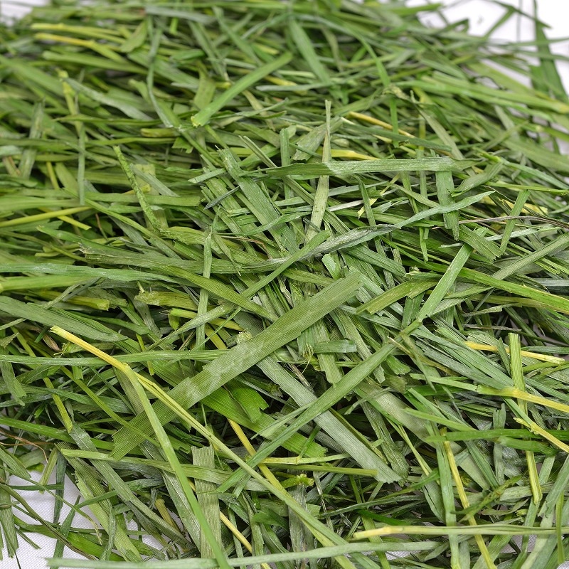 2025高原の朝採り牧草「ワイルドイタリアン」ミディアムソフト 400g