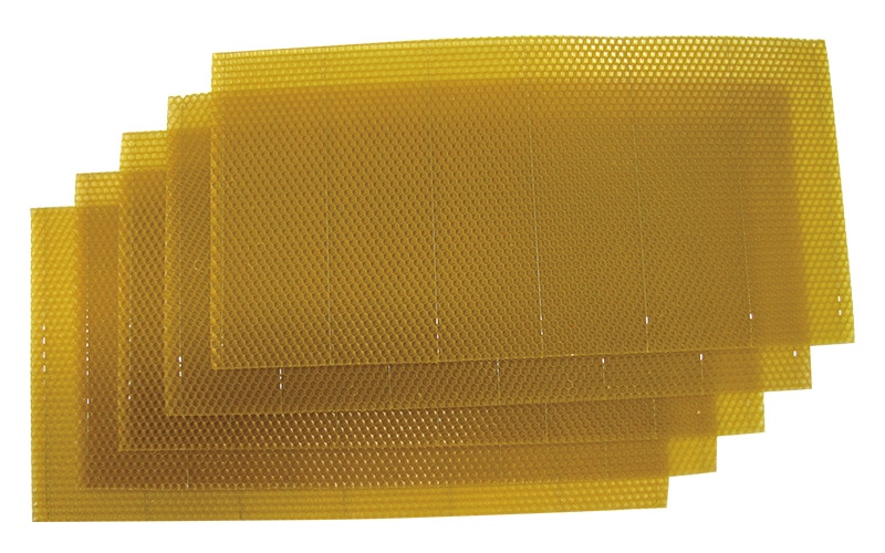 中国巣礎×200枚セットの通販 | すべての商品 | 間室養蜂場