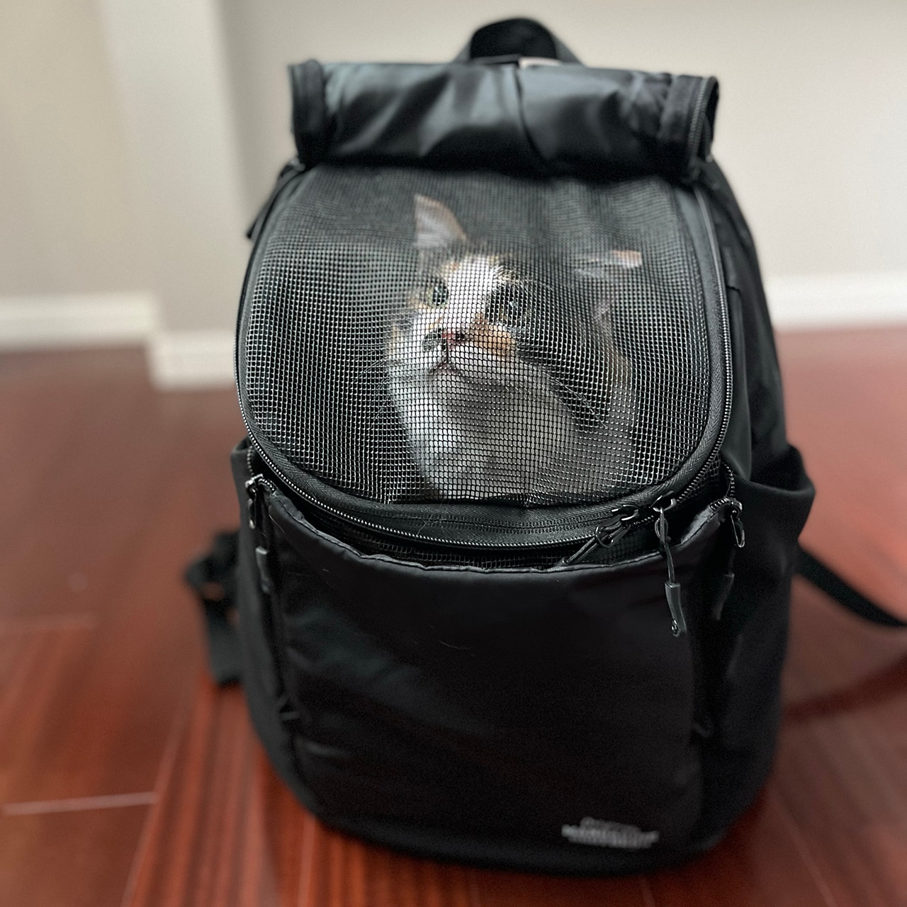 WINSTON HUG BAG LARGE | CARRY BAG | 犬服 MANDARINE BROTHERS