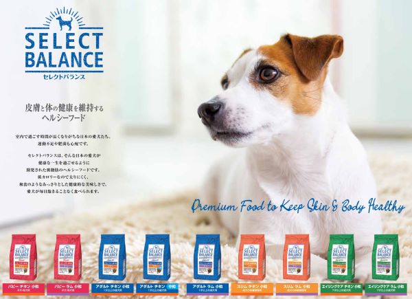 セレクトバランス アダルト ラム 小粒 1才以上の成犬用