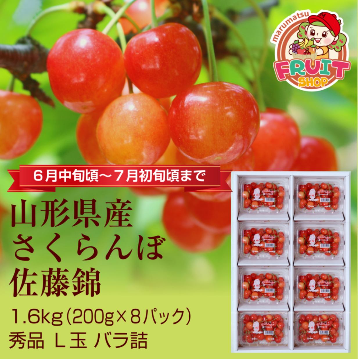 送料無料】山形県産さくらんぼ「佐藤錦」お徳用1.6kg（200g×8P）バラ
