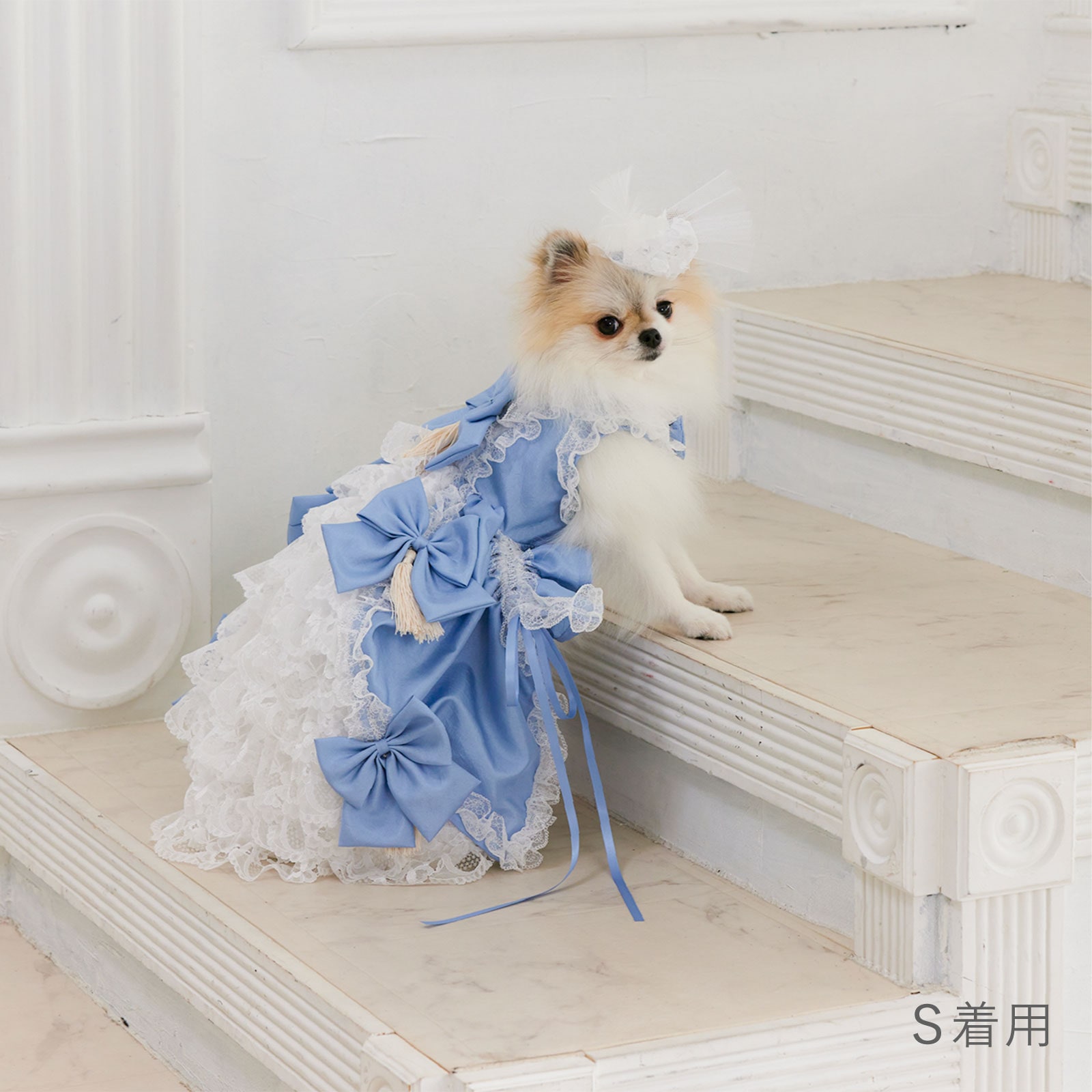 ミラクルマリー ドッグドレス [2way dress] SS-L サイズ展開