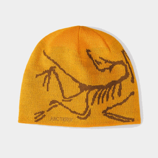 ARC'TERYX ニットキャップ ビーニー Bird Head Toque｜MIRISE(ミライズ