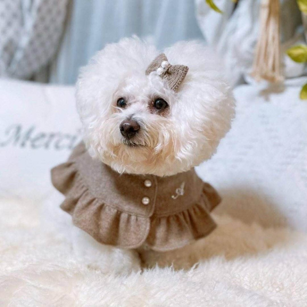 贅沢なカシミヤ100％ わんちゃんケープ | わんちゃんウェア |