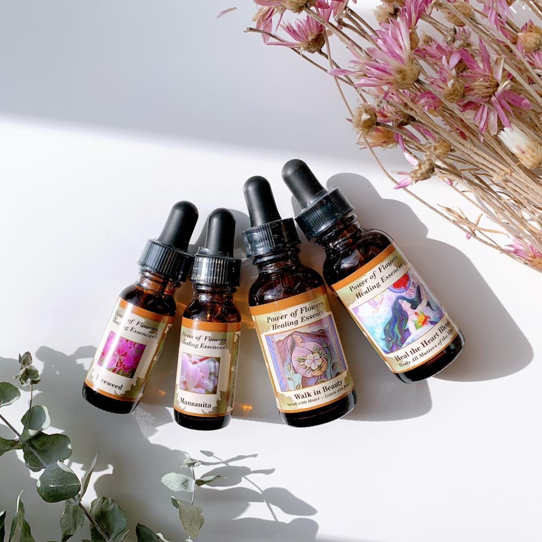 アンジェリカ7.5ml[Angelica] | ブランド一覧,FESフラワーエッセンス