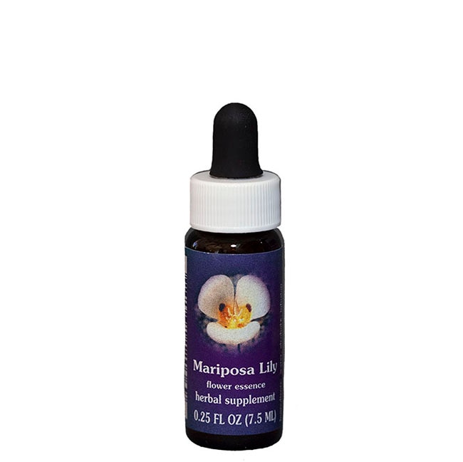 サンフラワー7.5ml[Sunflower] | ブランド一覧,FESフラワーエッセンス