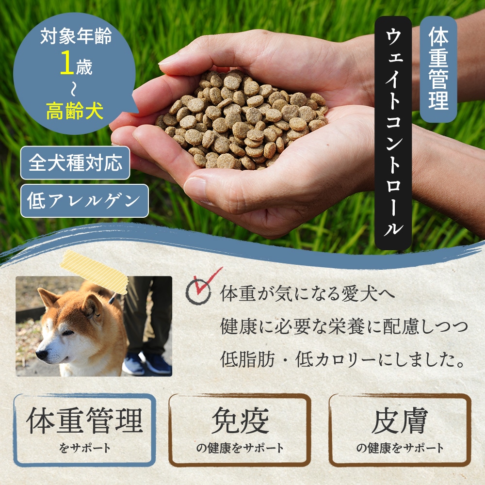 ネイティブドッグ 国産 低刺激 ドッグフード 3kg 送料無料／北海道