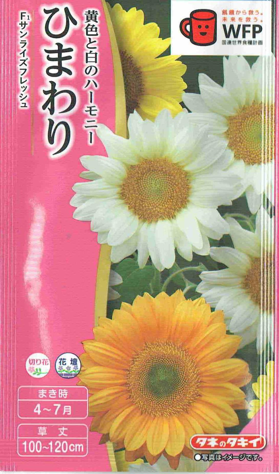 タキイ種苗 ひまわり サンライズフレッシュのタネ[内容量：2ml