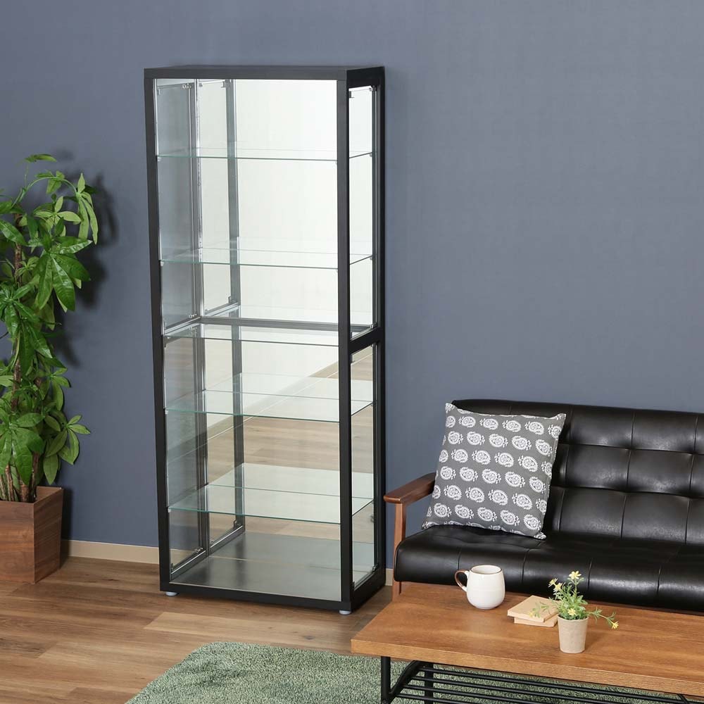 フランス ベルギー ガラスドーム 展示ケース アンティーク 古道具 木