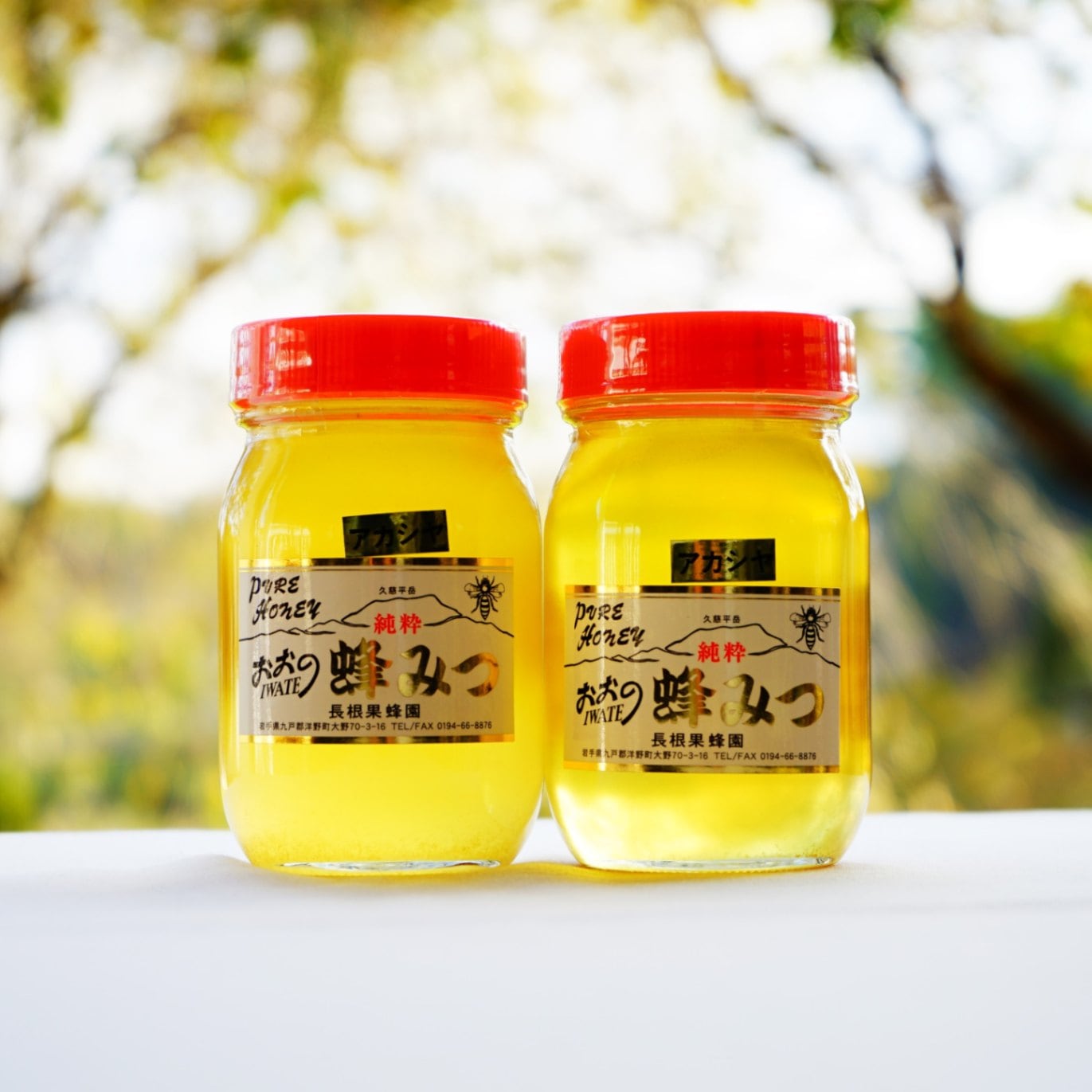 大野産 天然はちみつ 600g 2本｜ひろの商店の通販サイト