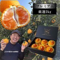 すべての商品 | こだわり農家のお蜜柑屋本店