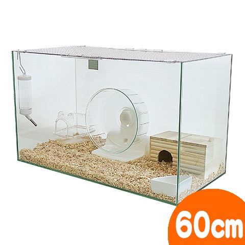 600ハムスターHIGH ゴールデンハムスター飼育セットII【A：給水ボトル