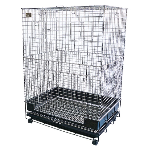 コンフォートチンチラスペシャル STグレード【一度のご注文で1個まで