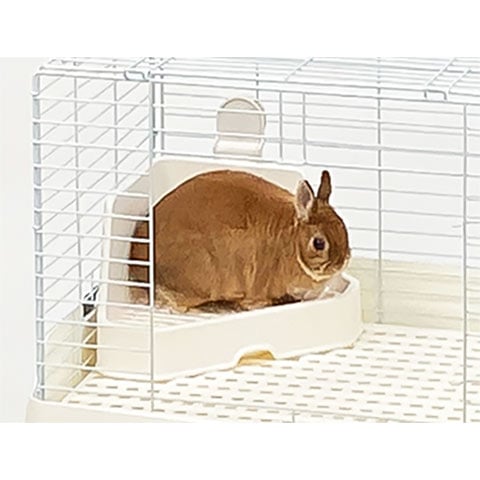 28周年セール中】おなやみ解決トイレ三角 iv/うさぎ スノコ付き