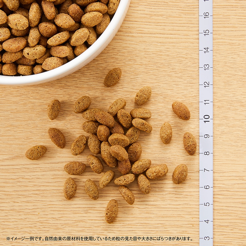 シュプレモ 超小型犬～小型犬用 エイジングケア | シュプレモ | ペッツ