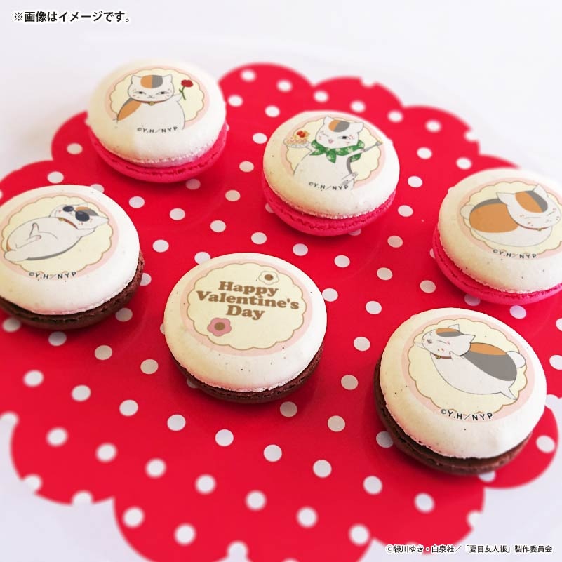 バレンタインプリマカロン6個セット2026（ニャンコ先生）【特典缶