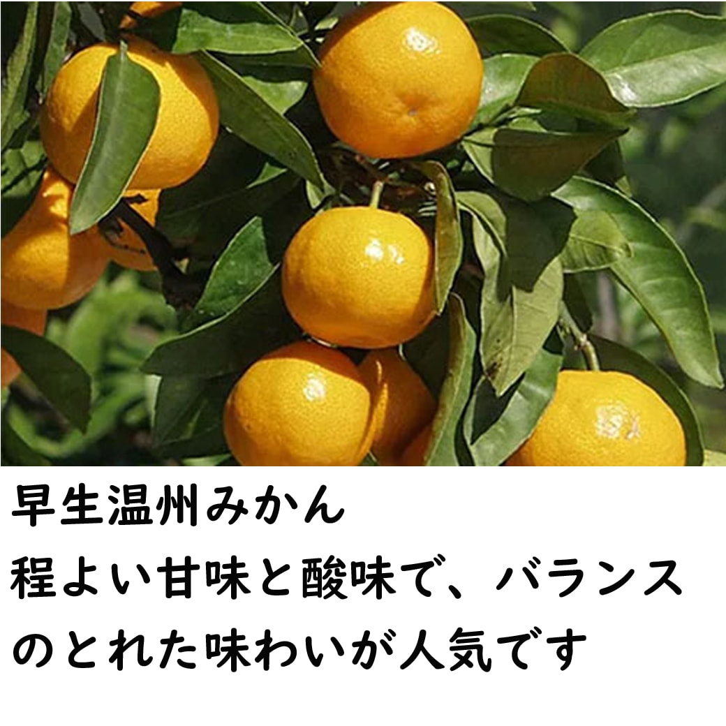 みかんジュース720ml×3（カラマンダリン×1・温州×2）MK-3【送料込