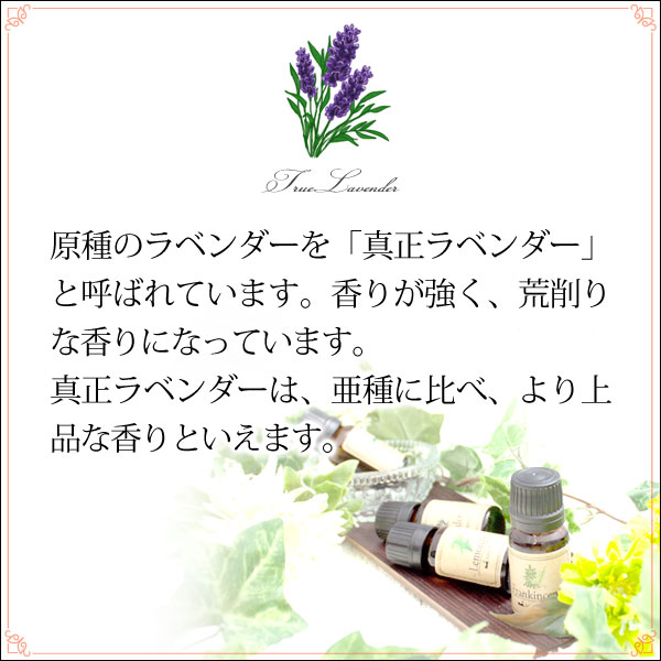 メール便 送料無料】 真正ラベンダー5ml (天然由来100
