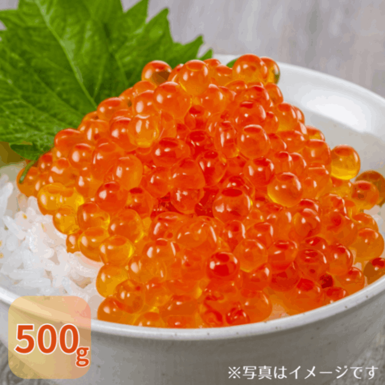 いくら醤油漬500g/マ印 神内商店/標津町 | 海鮮・海産物 | お取り寄せ