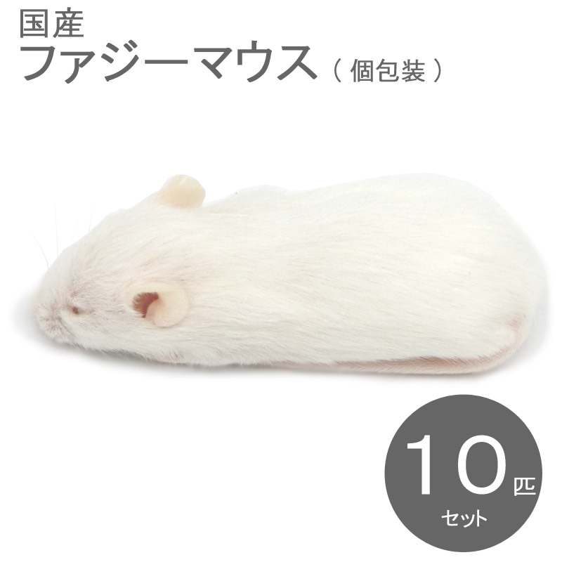 冷凍マウス ファジー 10匹 国産 SAfarm | 冷凍マウス,ファジー