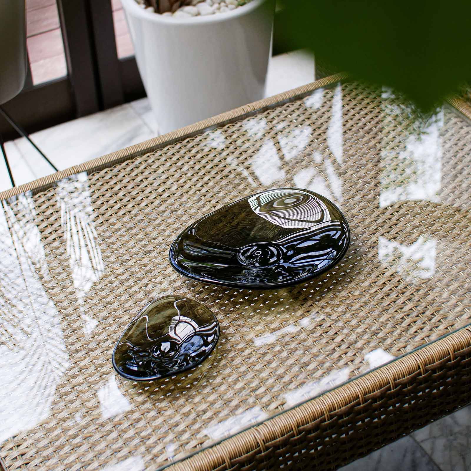 トゥッティー：プレート (L) web 限定カラー | WEB限定 | Sghr