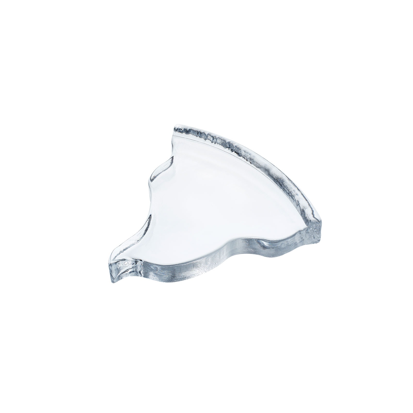 kiko+ & gg*×Sghr：ピザフラワー 6ピース セット | 豆皿 | Sghr