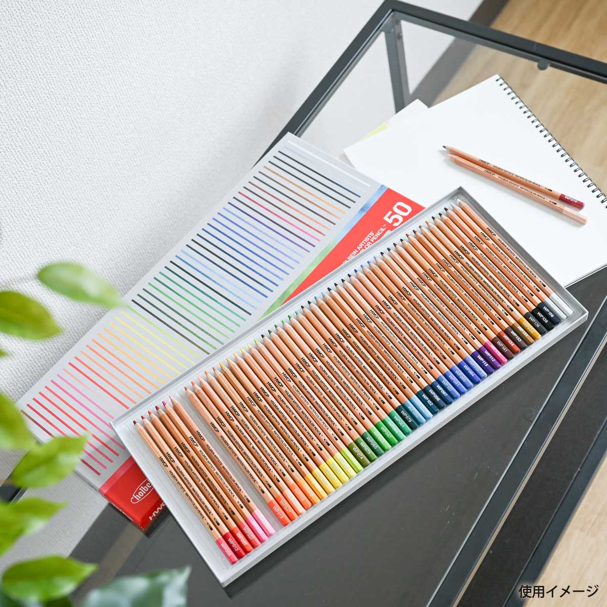 新商品プライス】ホルベイン 水彩色鉛筆 50色セット | ホルベイン水彩