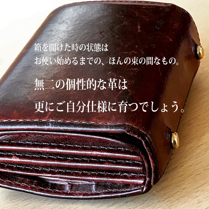 m+ エムピウ MILLEFOGLIE2 25 Pig タバコXベージュ | m＋エムピウ村上