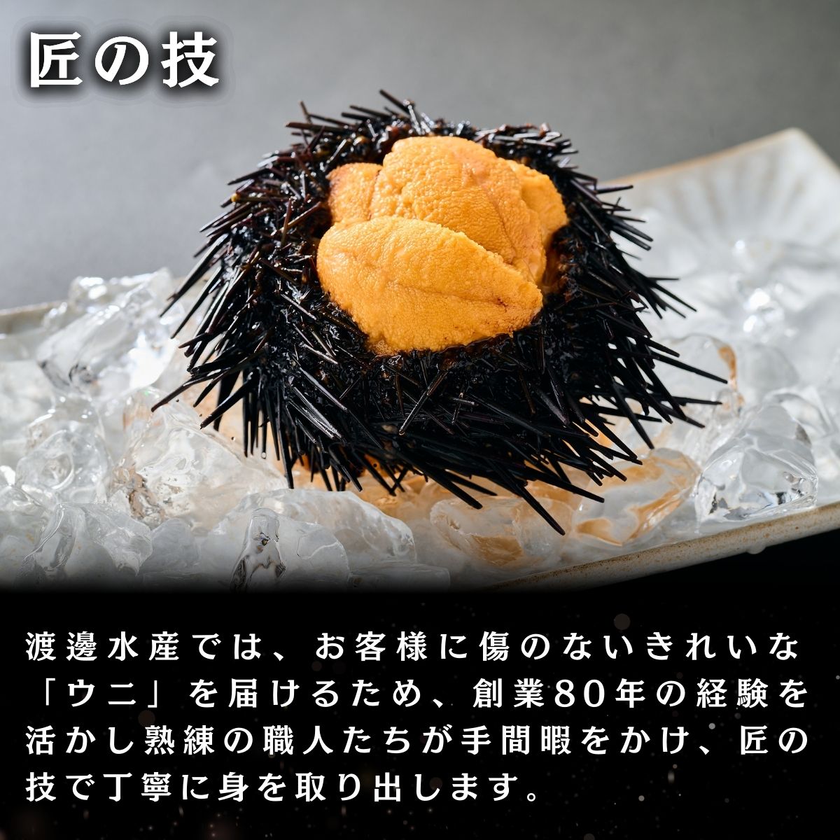 北海道産 キタムラサキウニ 特選生うに折詰め – うにの匠 マルヒラ