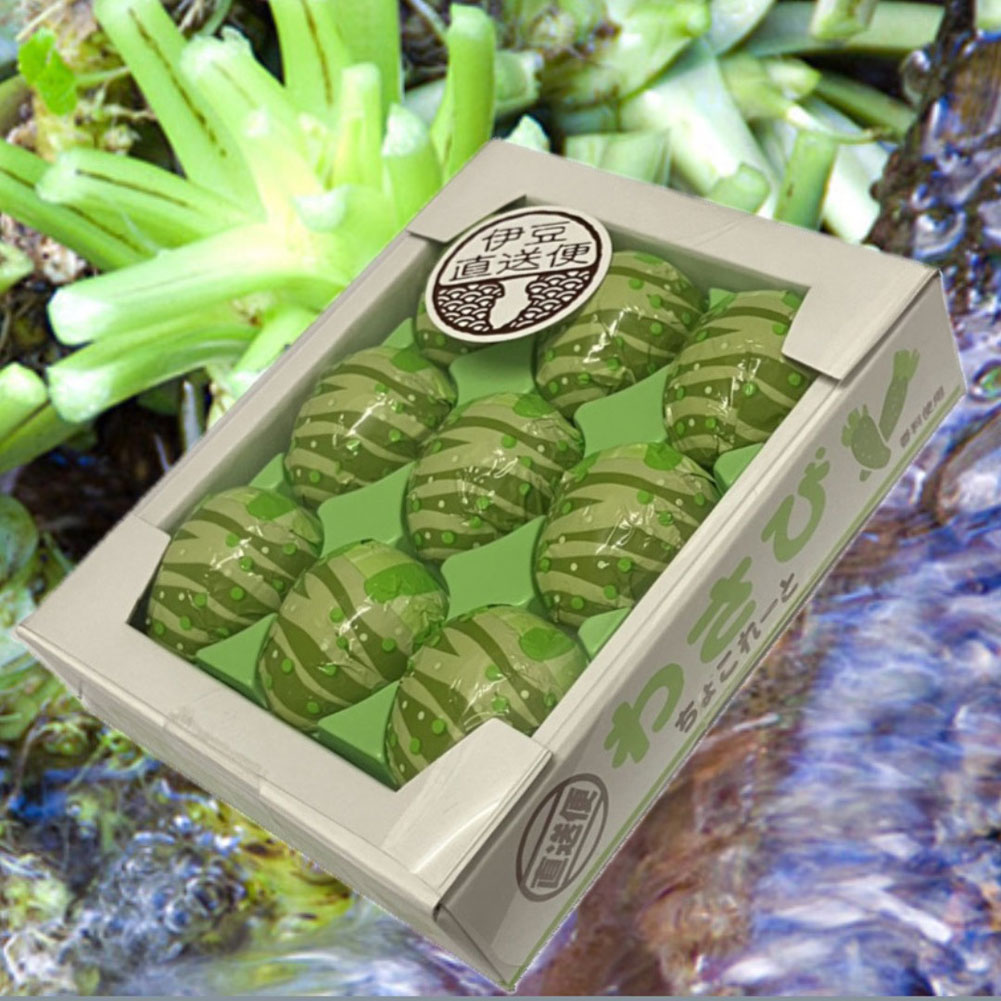 わさびちょこれーと チョコレート プチギフト 9粒入り