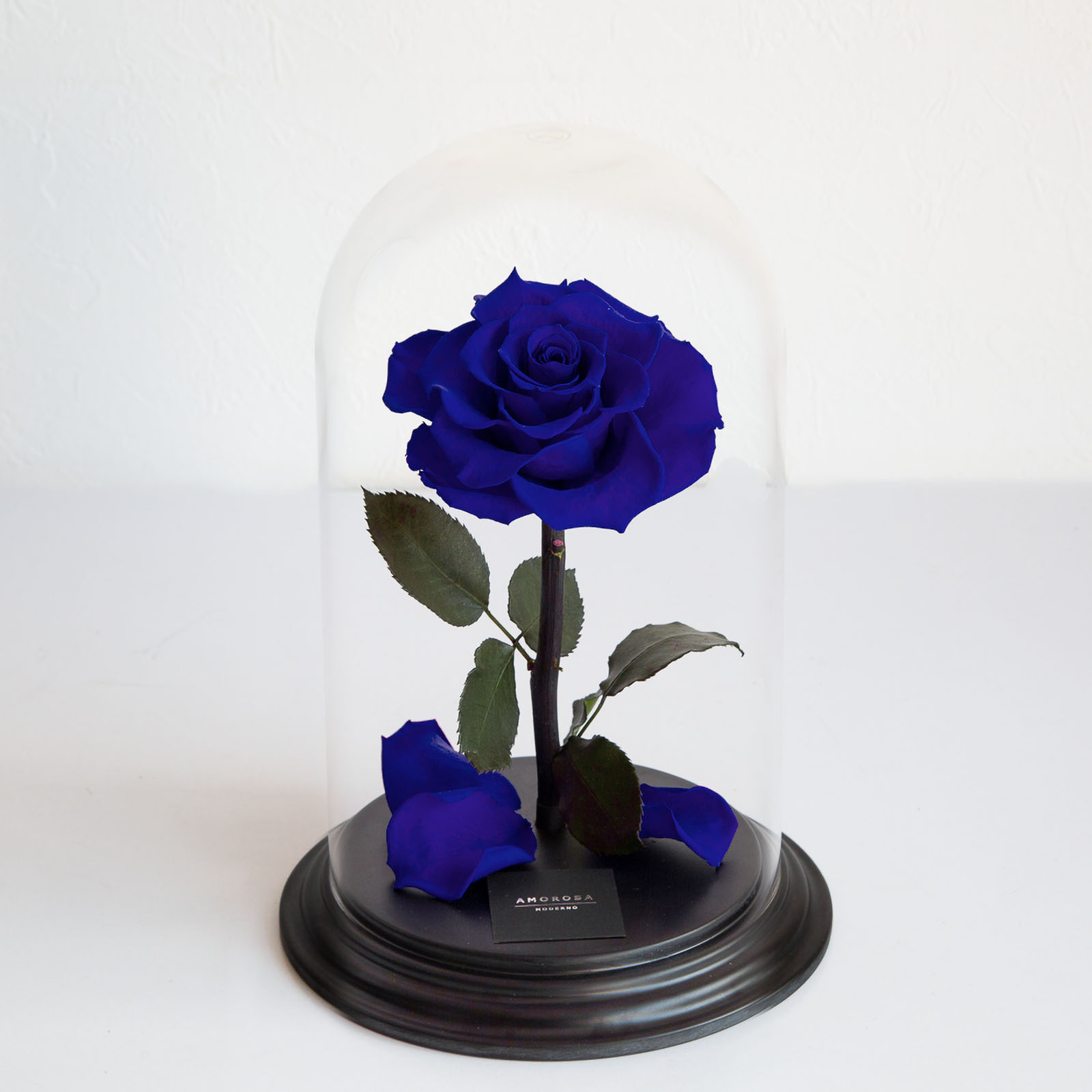 アドラブル(L)/エクセレントブルー （プリザーブドフラワー） | 最高級