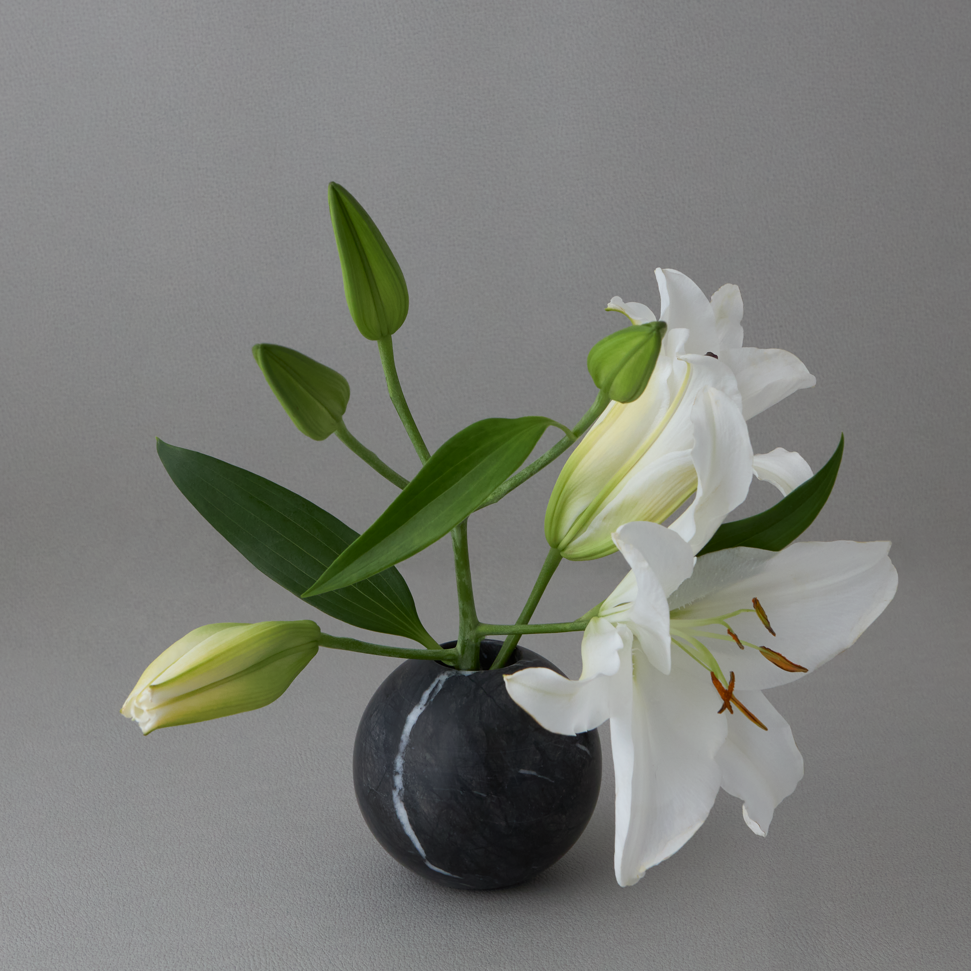 球体花瓶 - ゼブラカルニコ – MENN