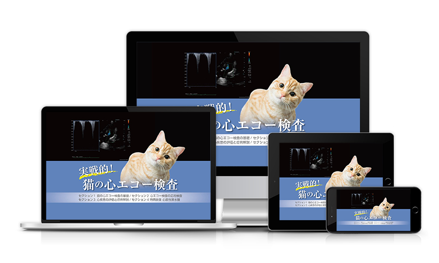 実戦的！猫の心エコー検査 | 医療情報研究所 DVD教材ストア