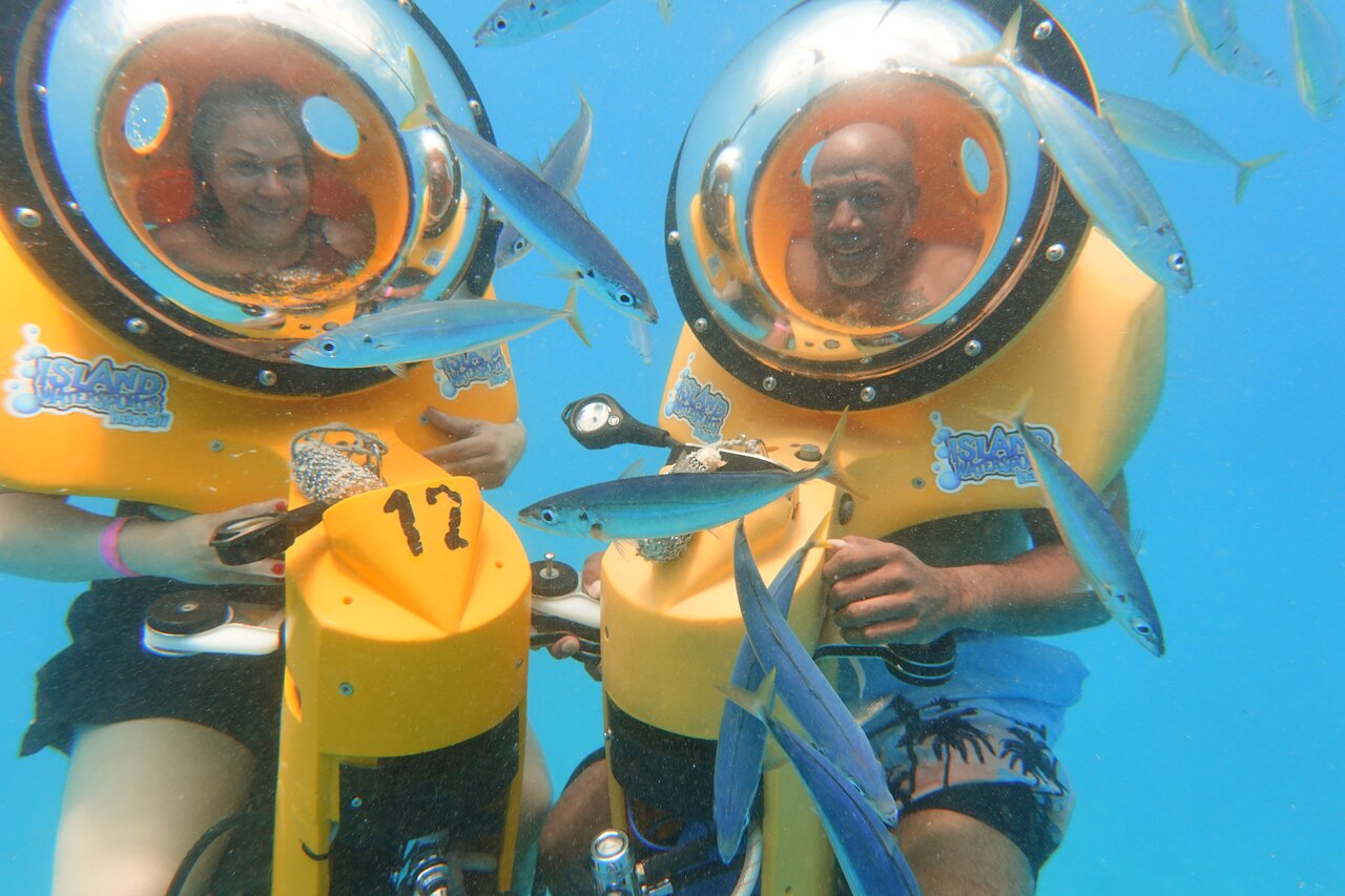 オアフ島サブマリンスクーター：ガイド付きグループ海洋野生動物