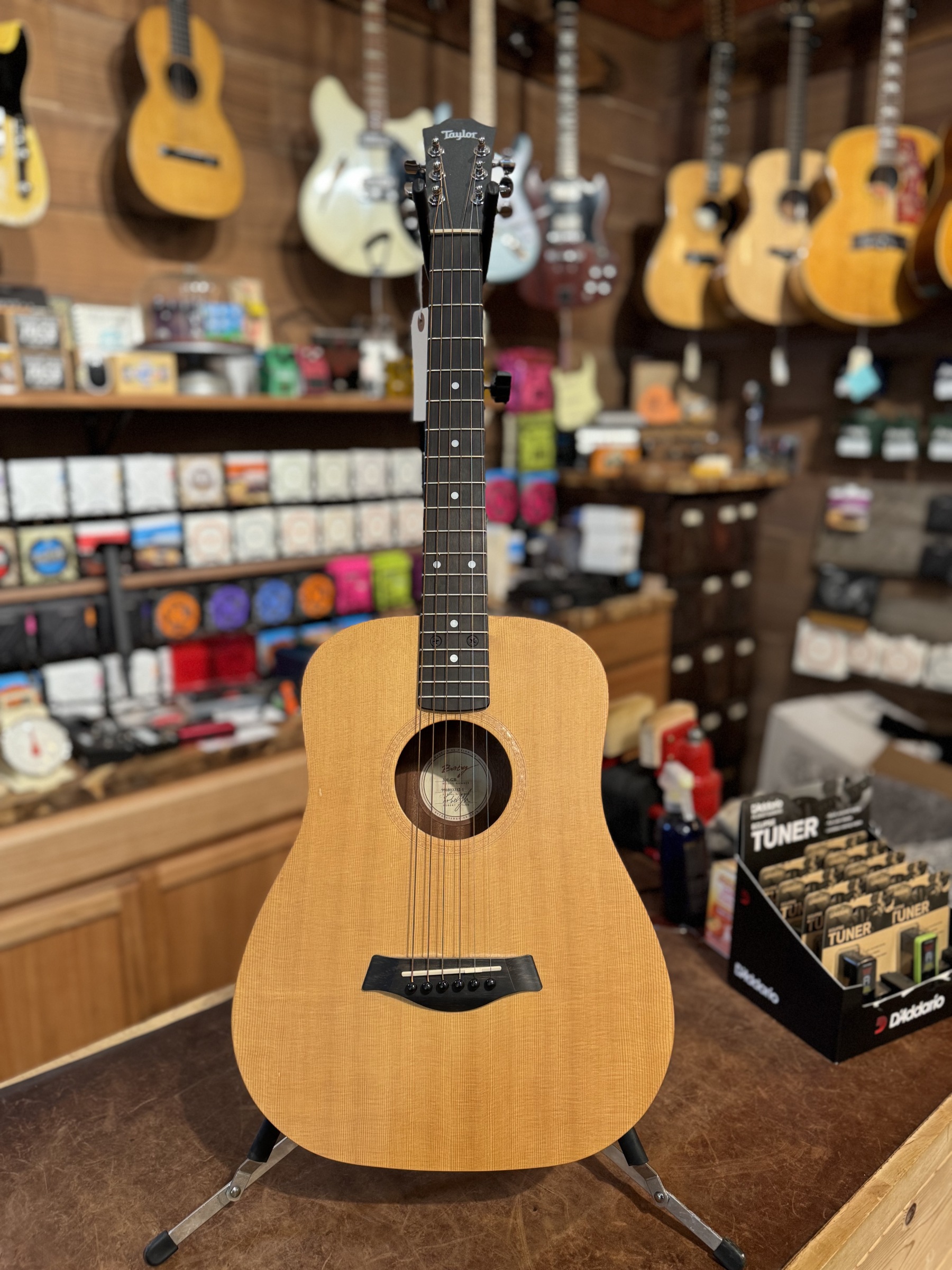 Taylor Baby Taylor 301-GB