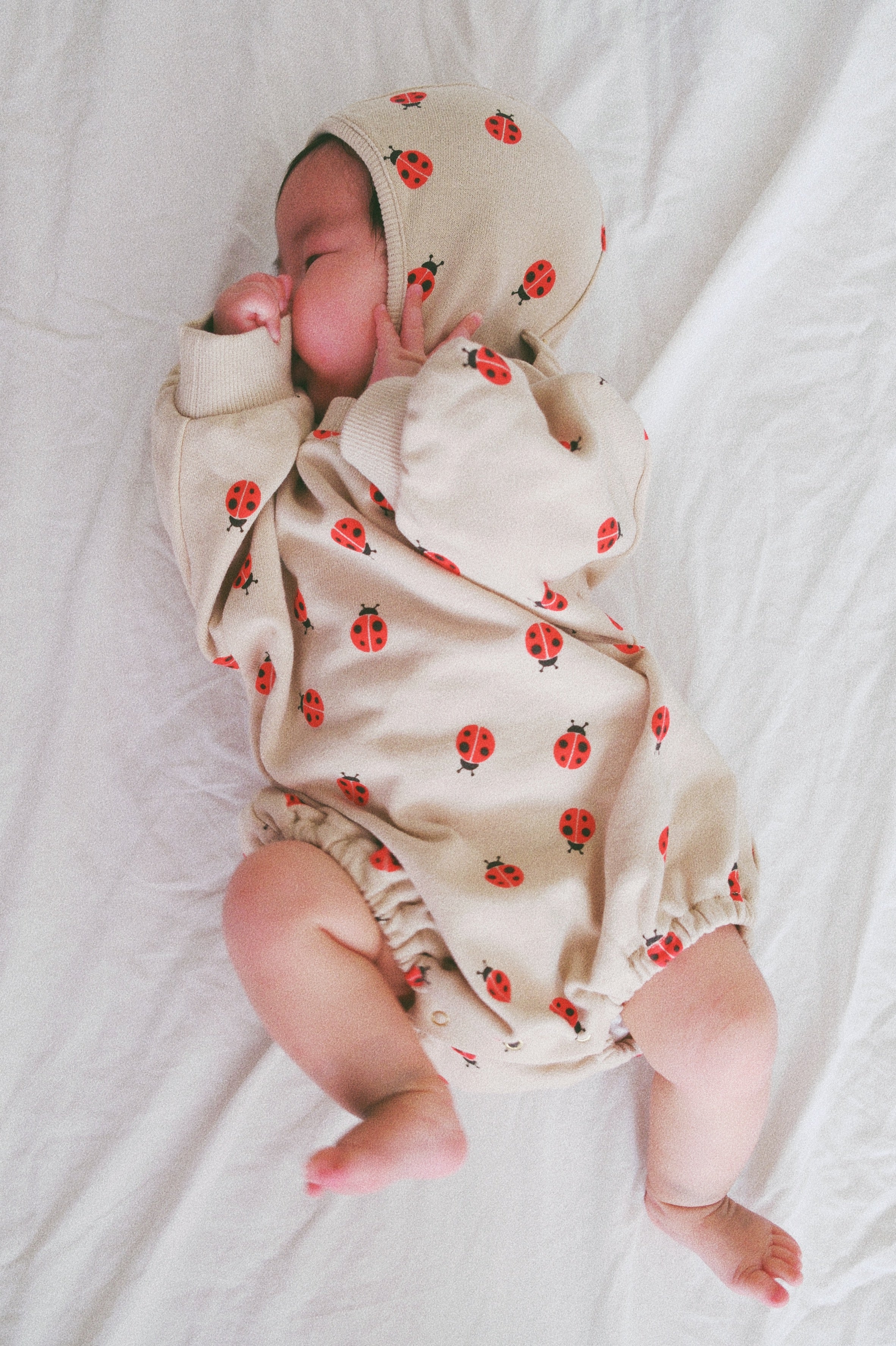 LADYBIRD – melted butter