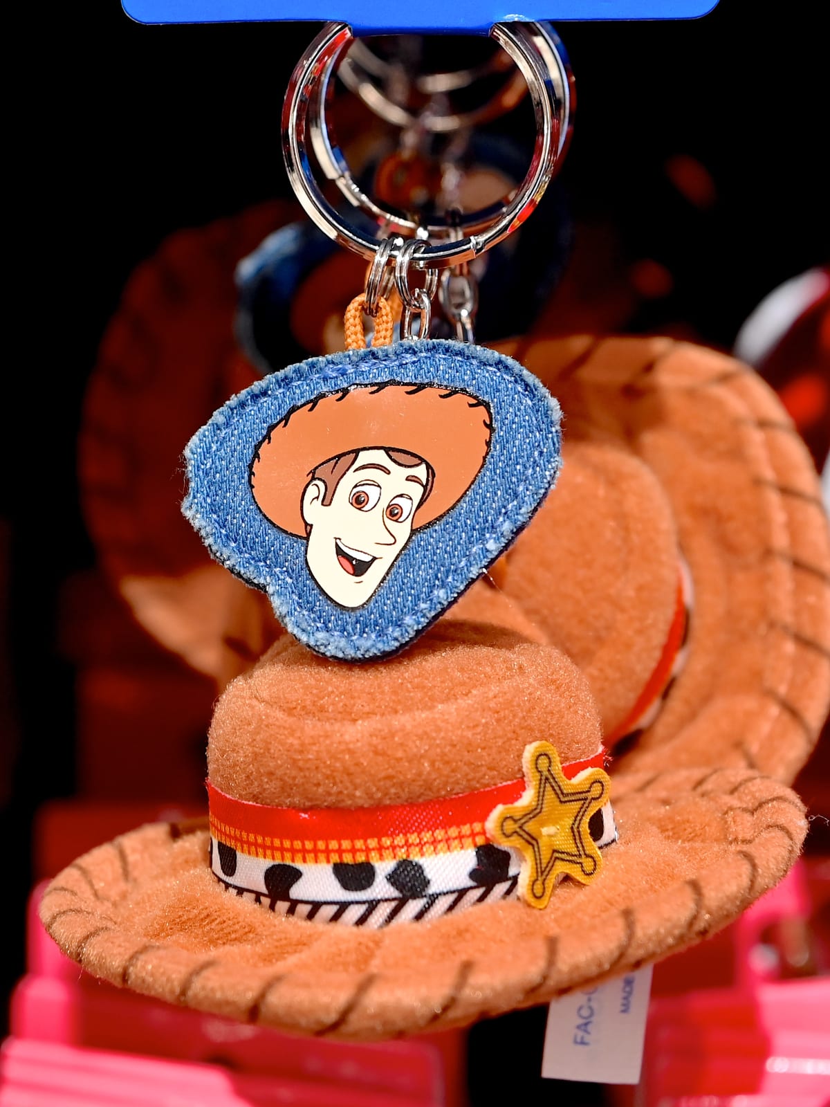 ウッディ・ジェシーデザイン！東京ディズニーランド ファンキャップ