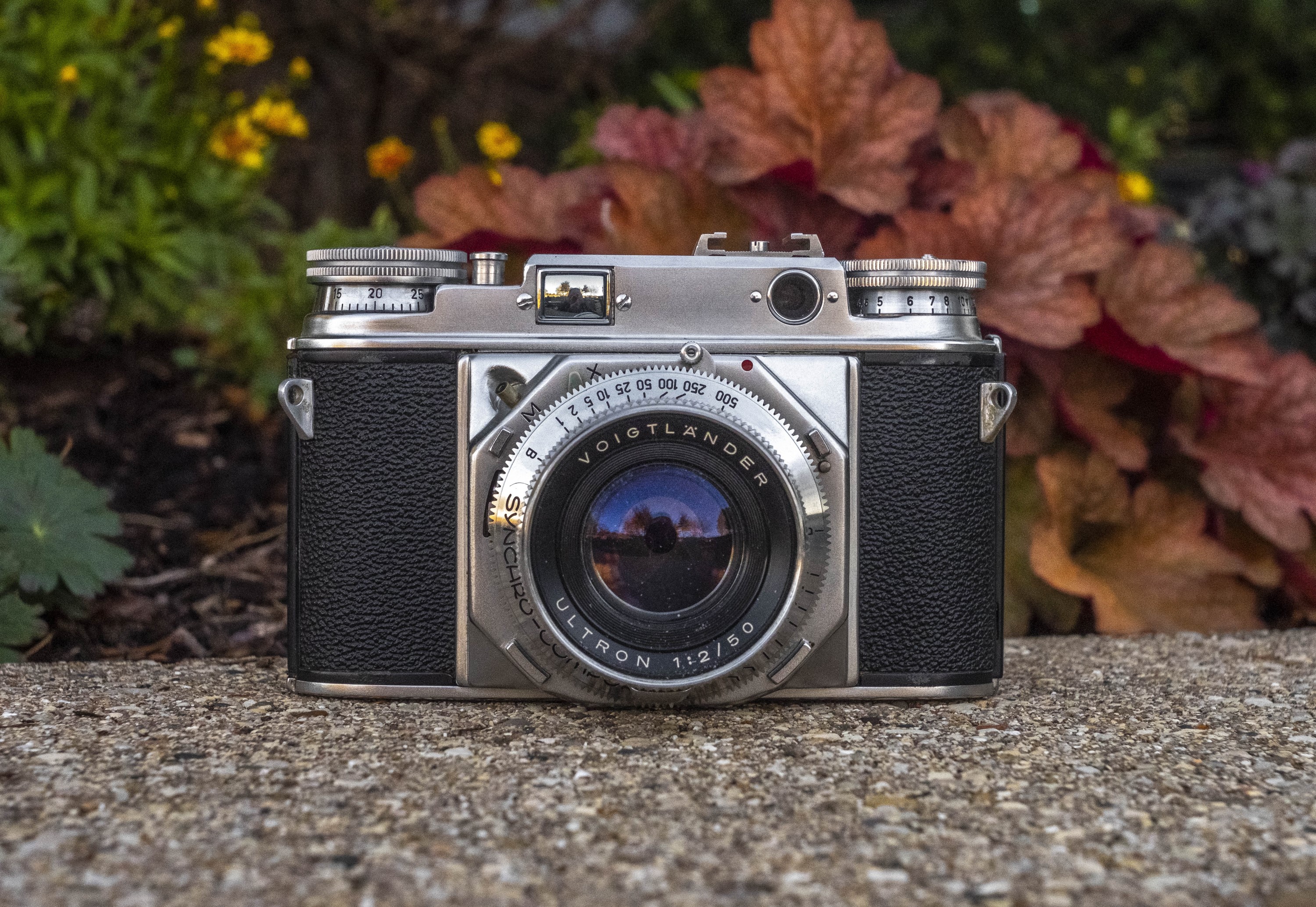 Voigtländer Prominent (1952) - mike eckman dot com