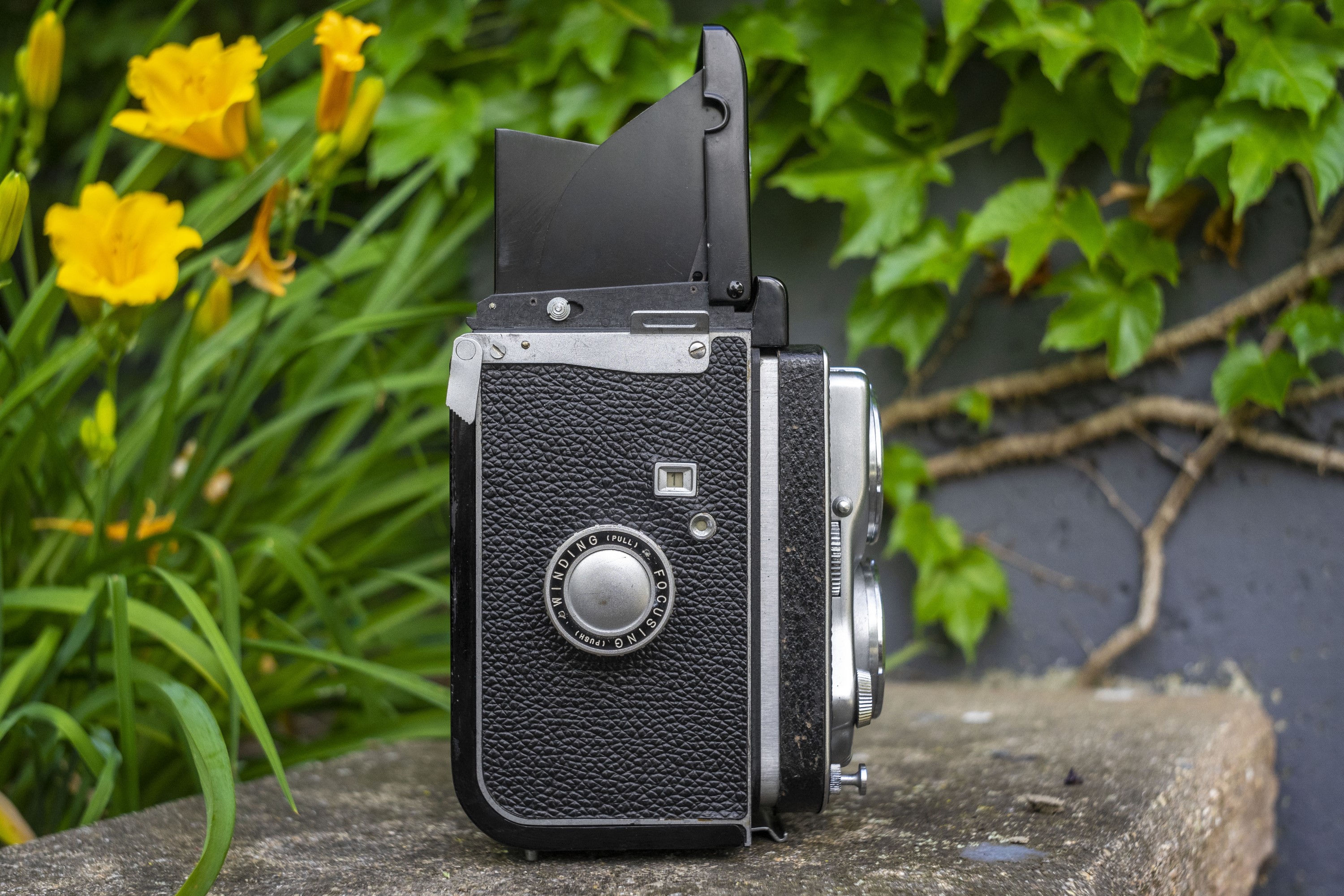 Fujicaflex Automat (1954) - mike eckman dot com