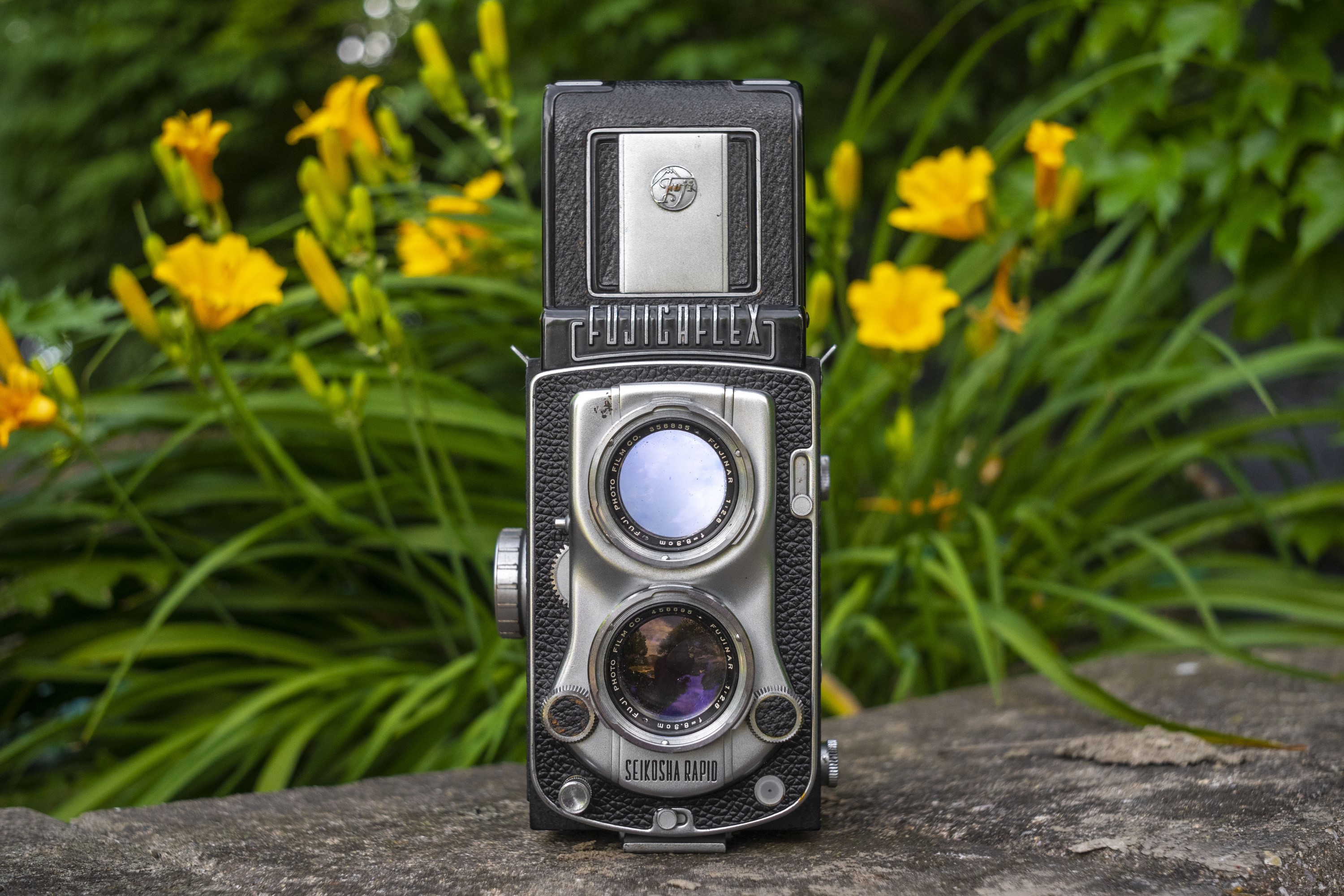 Fujicaflex Automat (1954) - mike eckman dot com