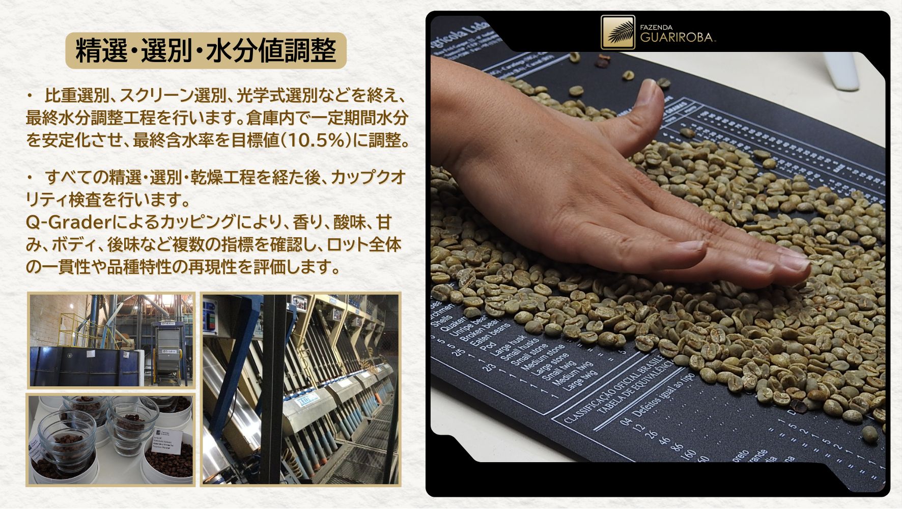 GA-2025-04 FRUITY / RED CATUAI / VOLCANO PROCESS – MT. FUJI / 10kg