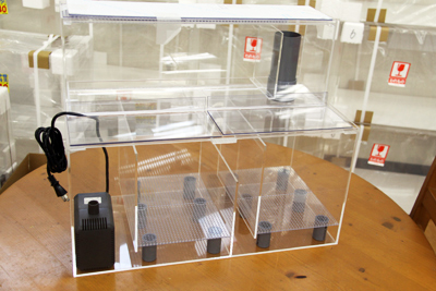 45×30×30(H)オーバーフローろ過槽セット - 熱帯魚のmishima