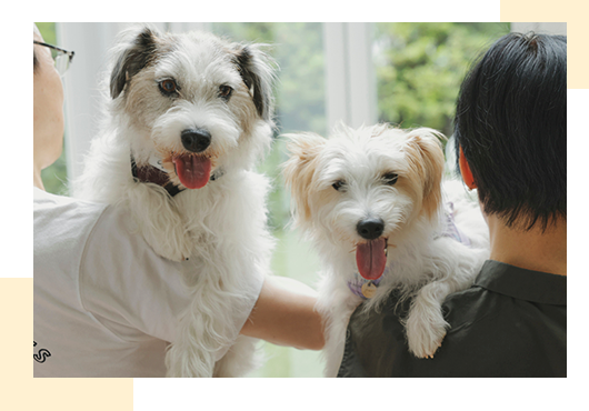 MISHONE - ミシュワン-】公式サイト