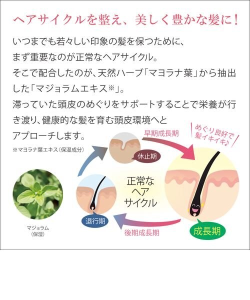 Aveil アヴェール グロー・ハーブ・シャンプー 頭皮ケア シャンプー 美
